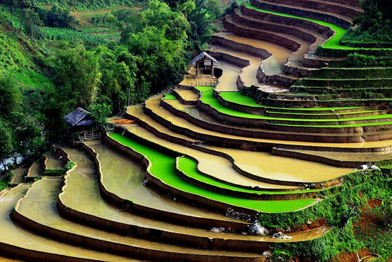Sapa Travel Sapa Travel